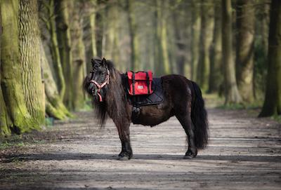 Pony rugzak