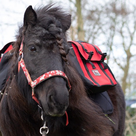 Rode ponyrugzak op pony