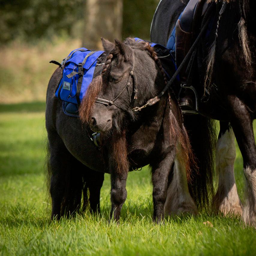 Pony backpack