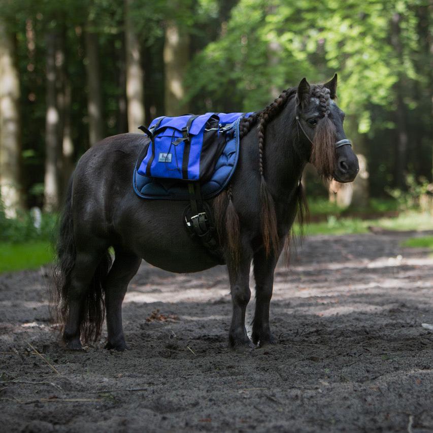 Pony backpack